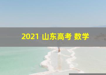 2021 山东高考 数学